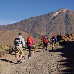Trekking - en La Gomera y Tenerife - El Teide - Tribbuu