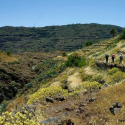 Trekking - en La Gomera y Tenerife - Parque de Garajonay - Tribbuu
