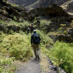 Trekking - en La Gomera y Tenerife - senderismo - Tribbuu