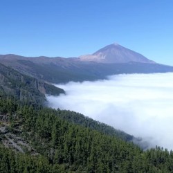 Trekking - en La Gomera y Tenerife - Teide - Tribbuu